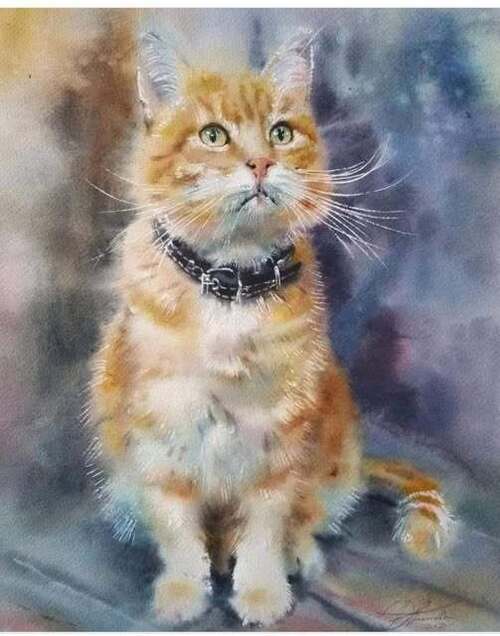 Я НИКОГДА НЕ ЛЮБИЛ КОШЕК