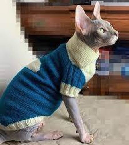 МАРКИЗ