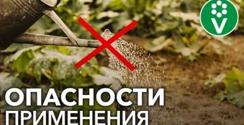 СТОЙТЕ! НЕ ВНОСИТЕ МОНОФОСФАТ КАЛИЯ, пока не узнаете этот секрет!