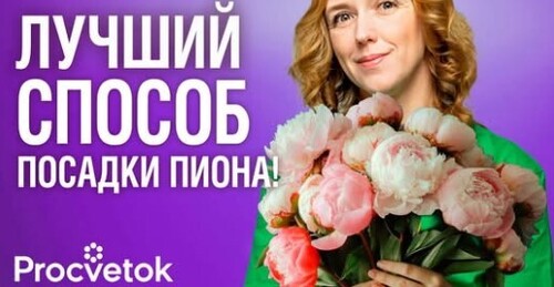 ПИОНЫ БУДУТ ЦВЕСТИ ДЕСЯТИЛЕТИЯМИ, если посадить их так осенью