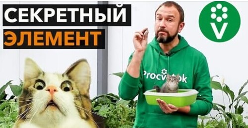 От этого средства корни рассады растут как сумасшедшие!