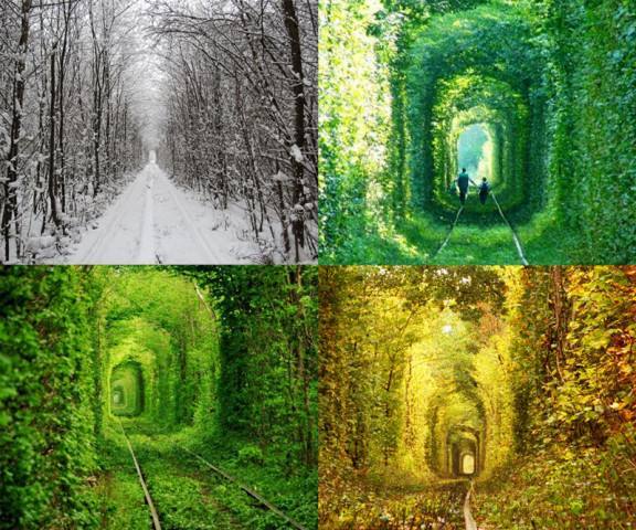 Image httpsstaticspektrnewsinuaimg2025102148214879jpg