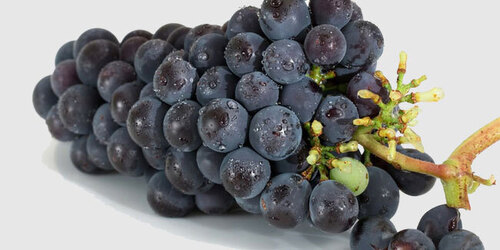 30 жовтня - Міжнародний день Каріньян: Прикмети та забобони