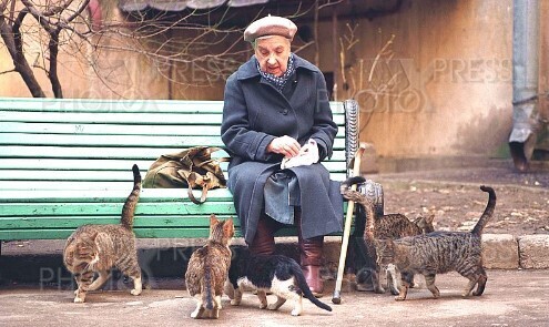 ИСПОЛНЕНИЕ ЖЕЛАНИЙ