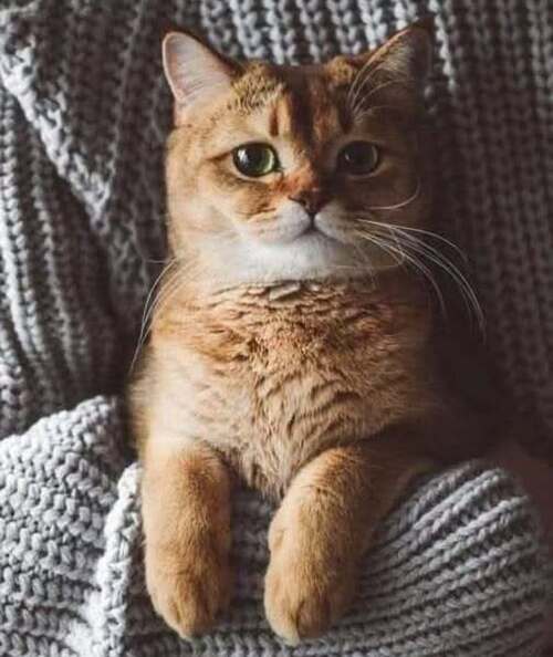 Самый счастливый неудачник на свете