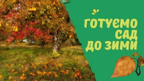 Як підготувати сад до зими: повний список справ
