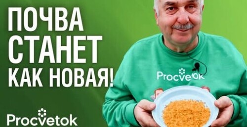 ГОРЧИЧНЫЙ ЖМЫХ: чистит почву от болезней и вредителей, улучшает плодородие. Особенности применения