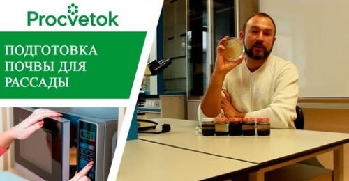 Почва для посадки семян - избавляемся от вредных микроорганизмов! Мягкое обеззараживание грунта