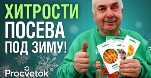 ПОСЕЙТЕ ЭТИ СЕМЕНА ПО ПЕРВОМУ СНЕГУ! Рано взойдут, не будут болеть и поражаться вредителями