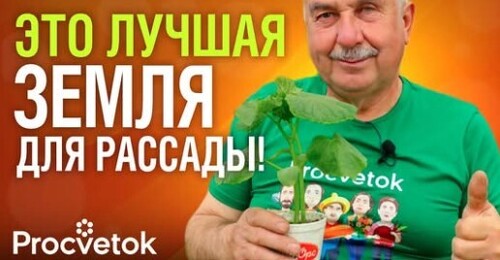 ЛУЧШИЙ ГРУНТ ДЛЯ РАССАДЫ! Без мошек, болезней, черной ножки, от которого рассада будет без ума