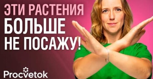 5 растений, которые зареклась сажать в следующем году