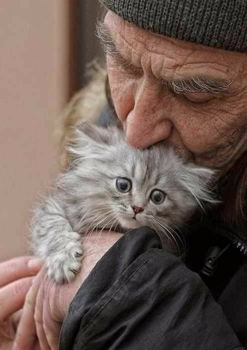 Завтрак на троих