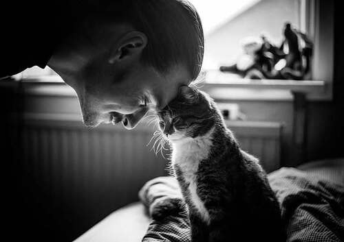 МЕРЗЕННЕЙШИЙ БУСЯ