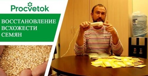 Семена: самый простой и эффективный способ повышения и восстановления всхожести семян