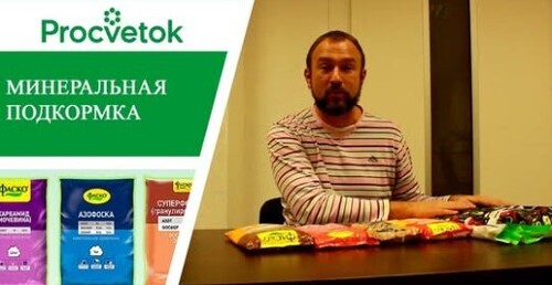 Как правильно выбрать удобрения для ухода и выращивания цветов и растений? Полезные советы биолога