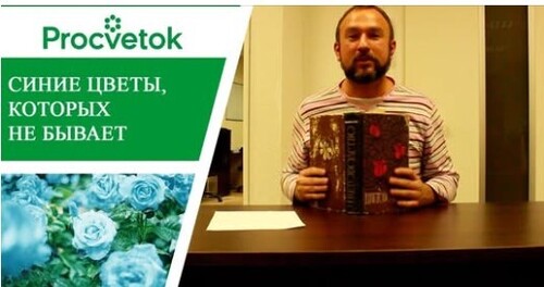 Синие цветы. Как вас обманывают интернет-магазины семян