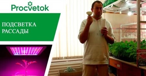 Подсветка рассады - светодиодные фитолампы для растений. Обзор. Какую выбрать?