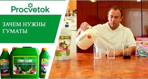 Полезные свойства гуматов. Использование гуминовых кислот в садоводстве