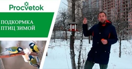 Борьба с насекомыми-вредителями. Привлечение птиц