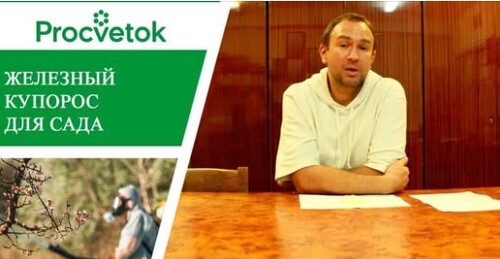 Железный купорос в садоводстве. Защита растений от грибковых заболеваний