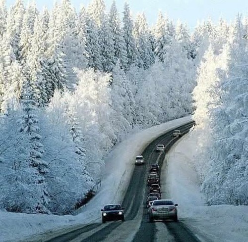 "МАТЕМАТИКА ЗЕ-КОРУПЦІЇ" - Павло Нусс