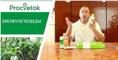 Средства защиты растений. Биофунгициды, пестициды