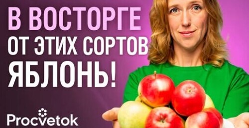3 СОРТА ЯБЛОК, КОТОРЫЕ ЗАМЕНЯТ ВАМ ВСЕ ОСТАЛЬНЫЕ! Самые вкусные и урожайные сорта яблок
