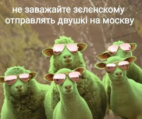 "Бюджет дєрмака в країну мрій Зеленського!" - Зіновій Бібрецький