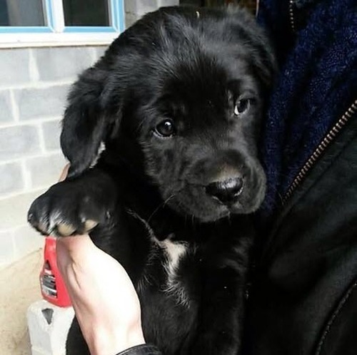 По заслугам