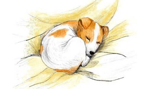 ЗАПАХ СЧАСТЬЯ