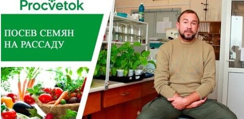 Подготовка семян к посеву. Секреты высокой всхожести и обильных урожаев