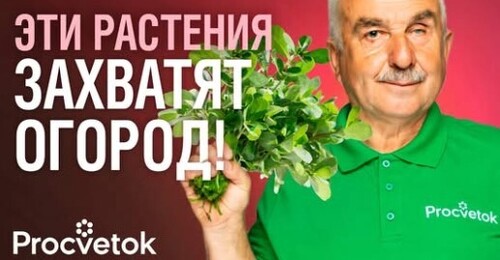 ЭТИ РАСТЕНИЯ ПРЕВРАТЯТ ВАШ САД В АД! Вы пожалеете, что посадили их в огороде