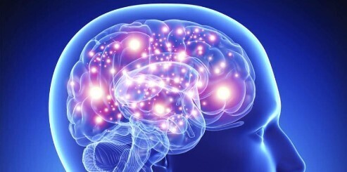 Главное, не перепутать полушария!