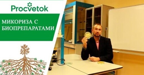 Факт. Биопрепараты подавляют микоризу