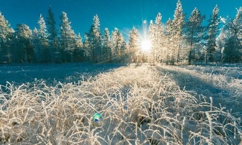 21 грудня - День зимового сонцестояння: Прикмети та забобони