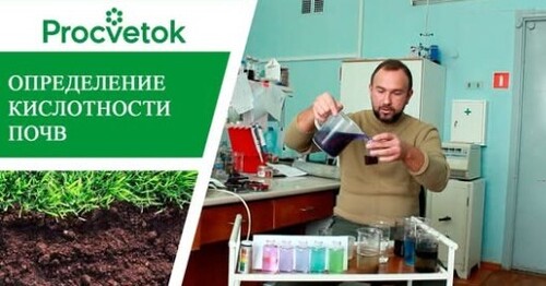 Как определить кислотность почвы в домашних условиях