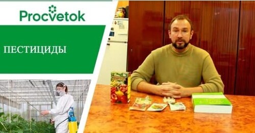 Защитите свои растения! Пестициды, фунгициды, инсектициды, гербициды