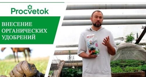 Лучшие органические удобрения для вашего сада