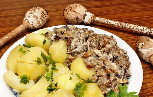 Маміни секрети "Маслюки: гриби у сметані з картоплею"