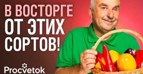 ЗА ЭТИ ТОМАТЫ И ПЕРЦЫ РУЧАЮСЬ ГОЛОВОЙ! Топ-3 проверенных сорта