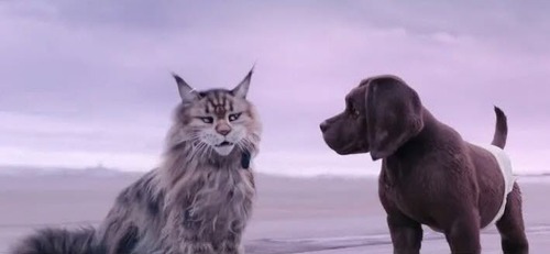 НОВАЯ МАШИНА