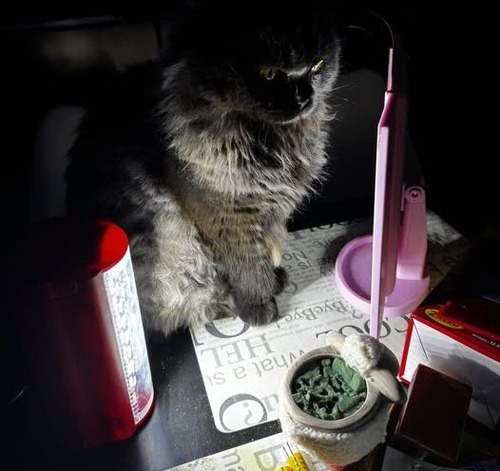 "Кожен новий блекаут – гірше за попередній" - Костянтин Корзун