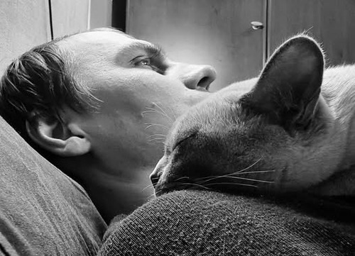 Кара знала!