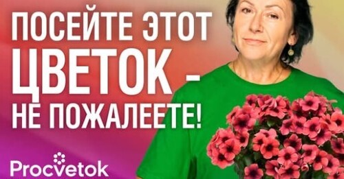 КАТАРАНТУС: ОТ ПОСЕВА ДО ЦВЕТЕНИЯ! Взойдет 100%, зацветет – не нарадуетесь!