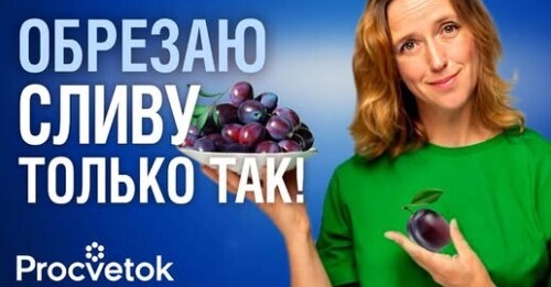 Правильная ОБРЕЗКА СЛИВЫ И АЛЫЧИ! С момента посадки, а также взрослые запущенные деревья