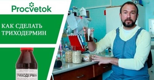 Триходермин. Супер средство - своими руками!