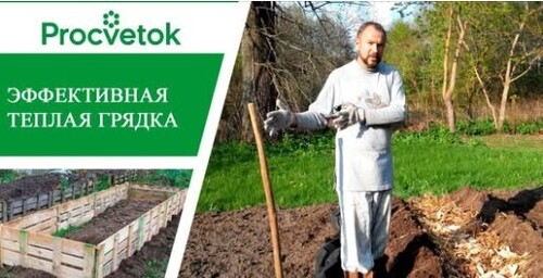 Теплая грядка. Как сделать теплые грядки - рекомендации эксперта