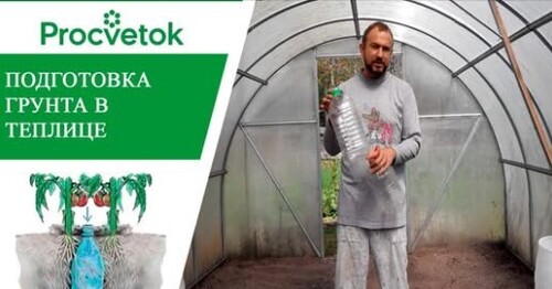 Подготовка теплицы для посадки томатов. Подготовка почвы для посадки помидор в парнике