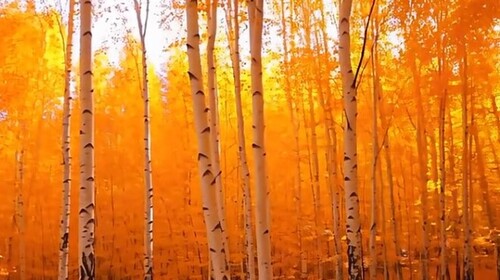 Les Meilleures de Frédéric François Album 2025