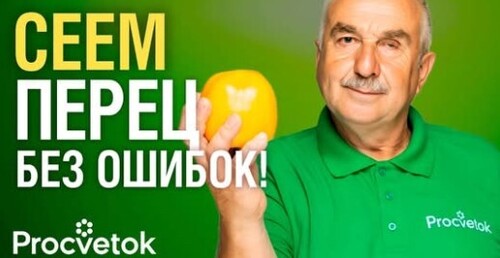 КОГДА СЕЯТЬ ПЕРЕЦ? Агроном назвал точные сроки и главные правила посева перца
